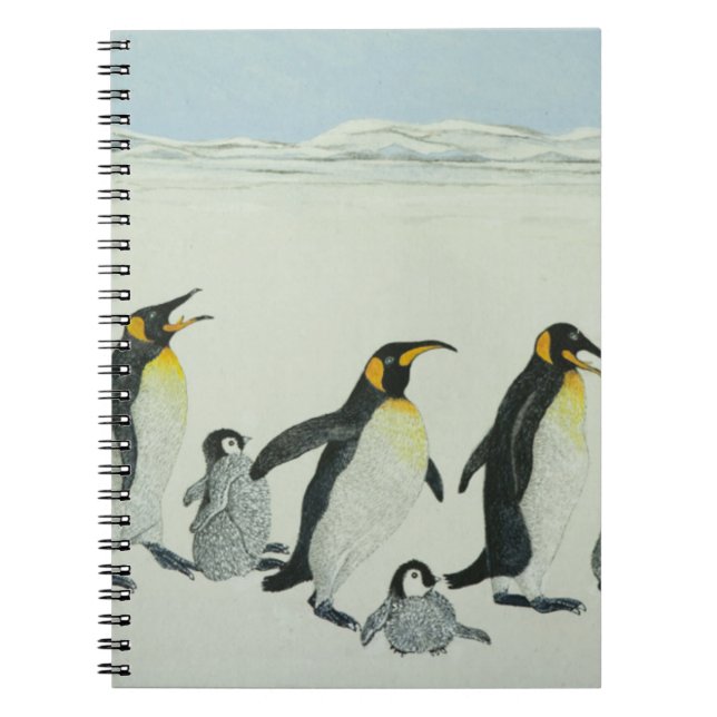 Caderno Espiral A curva de aprendizagem (Frente)