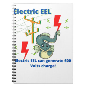Caderno Espiral A EEL Elétrica Pode Gerar 600 Volts