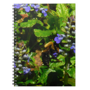 Caderno Espiral A flor roxa e Bumble a abelha