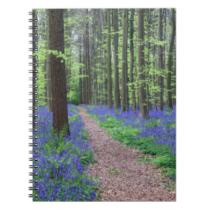 Caderno Espiral A floresta de Halle   Halle, Bélgica