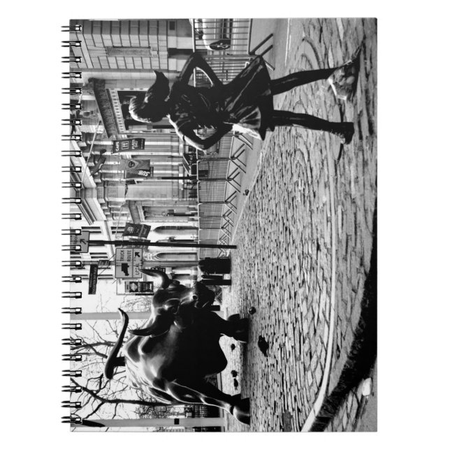 Caderno Espiral A Garota Sem Carinho (Frente)