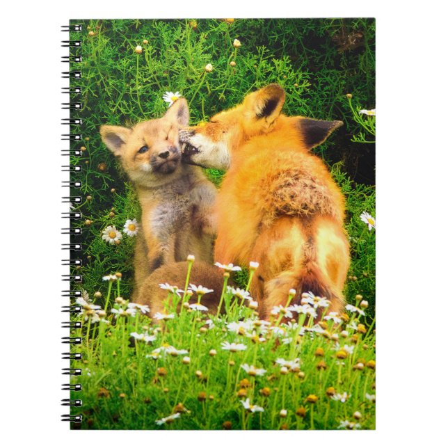 Caderno Espiral A Mother’s Kiss Wildlife Nature Art Print (Frente)