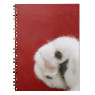 Caderno Espiral A pata do gato