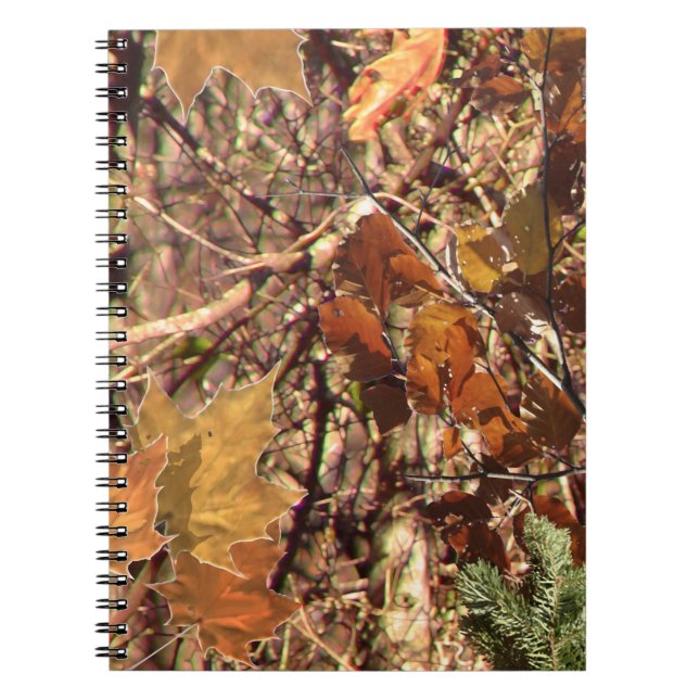 Caderno Espiral A pintura de Camo Camouflage de Hunter Personaliza (Frente)