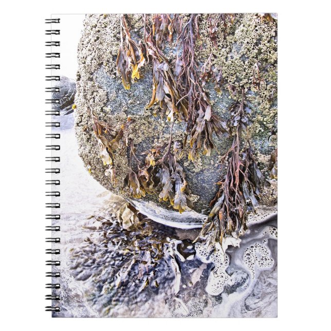 CADERNO ESPIRAL A PRAIA (Frente)