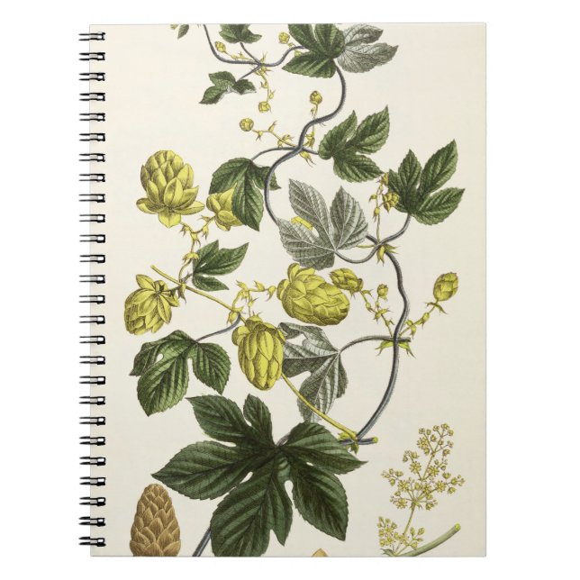 Caderno Espiral A videira de salto, "do Landsman novo", publicado (Frente)