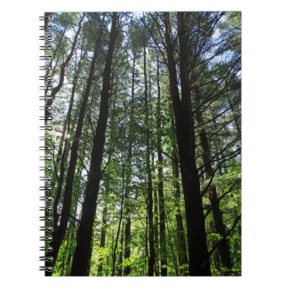 Caderno Espiral A Walk in the Woods Diário