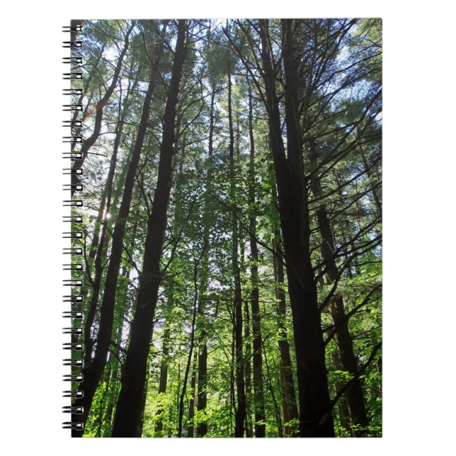 Caderno Espiral A Walk in the Woods Diário (Frente)