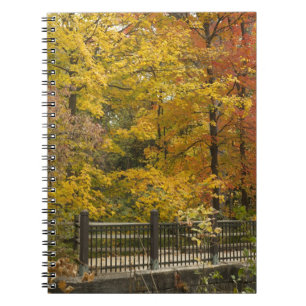 Caderno Espiral aa