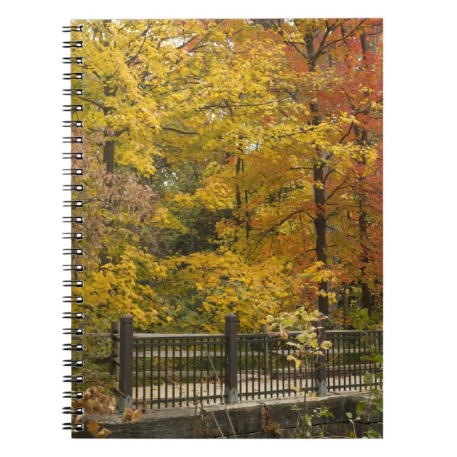 Caderno Espiral aa (Frente)