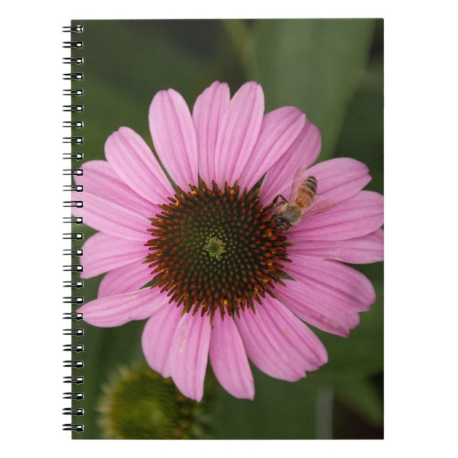 Caderno Espiral Abelha de Mel na Flor Cone (Frente)