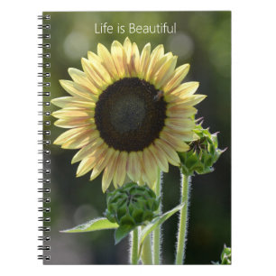 Caderno Espiral Abelha do Girassol (minha fotografia)
