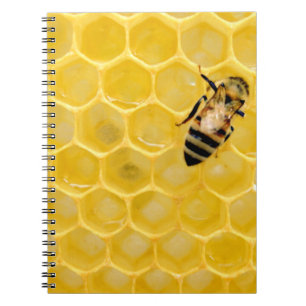 Caderno Espiral abelha e favo