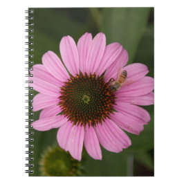 Caderno Espiral Abelha Melífera em Flor de Cone