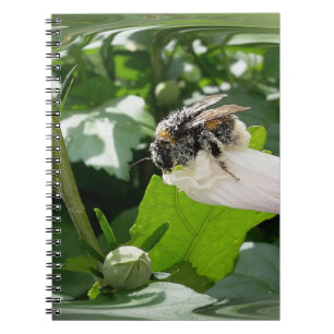 Caderno Espiral Abelha no verão