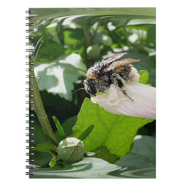 Caderno Espiral Abelha no verão (Frente)
