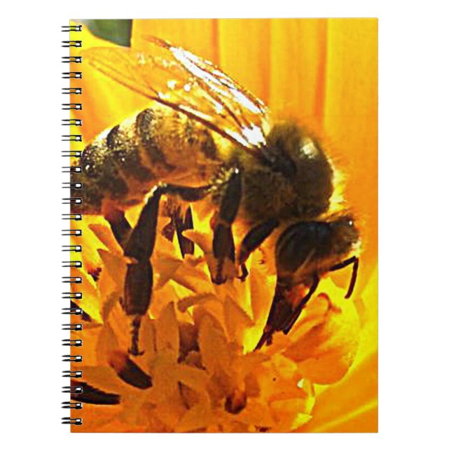 Caderno Espiral Abelha numa Flor (Frente)