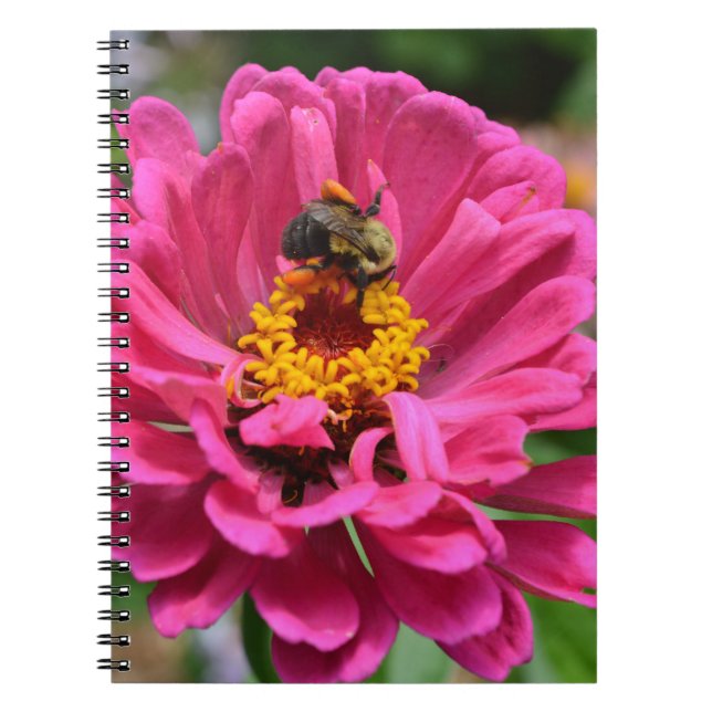 Caderno Espiral Abelhas bonitinhas de flor rosa Elegante (Frente)