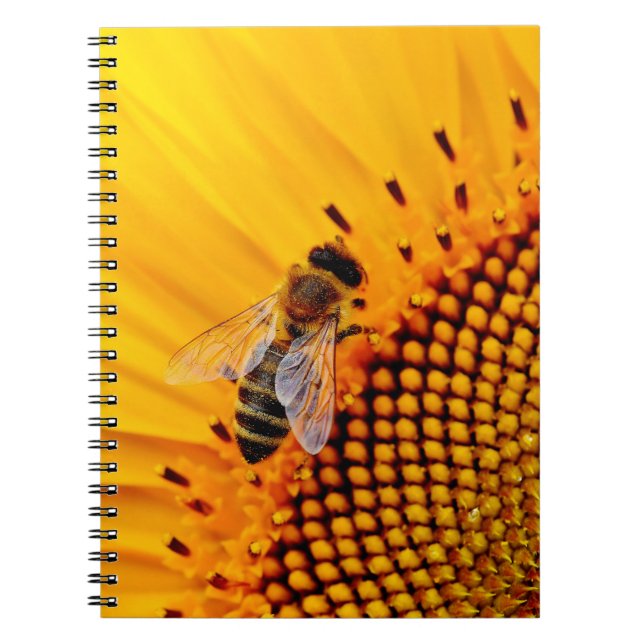 CADERNO ESPIRAL ABELHAS DE MEL (FLORES) (Frente)