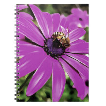 Abelhas De Mel Numa Arte Daisy Africana Roxa