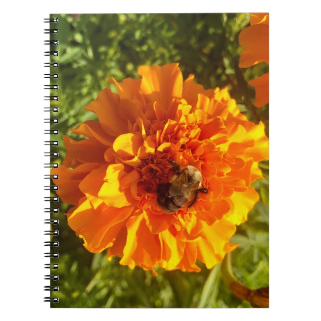 Caderno Espiral Abelhas e Flores (Frente)