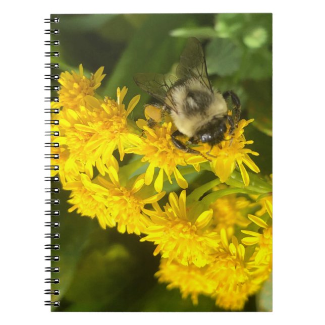 Caderno Espiral Abelhas e Flores (Frente)