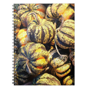 Caderno Espiral Abóbora Listrada de Close Up