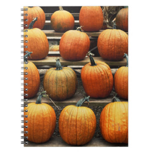 Caderno Espiral Abóboras de outono