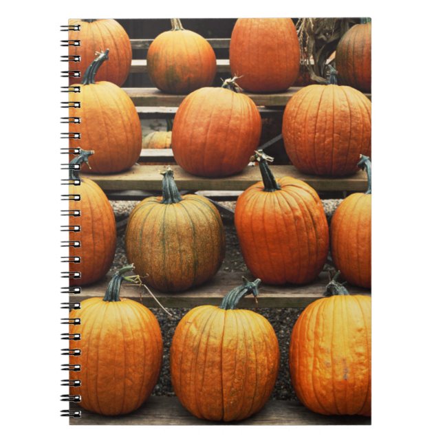 Caderno Espiral Abóboras de outono (Frente)
