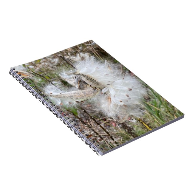 Caderno Espiral Abra Milkweed Pods | Sementes de Seda | Espiral (Lado Direito)