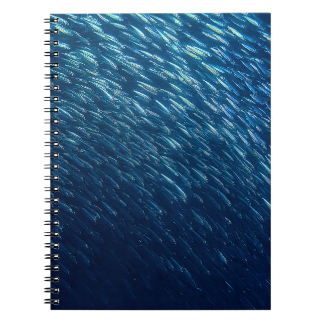 Caderno Espiral Abstrato da Escola de Peixes do Mar Subaquático (Frente)