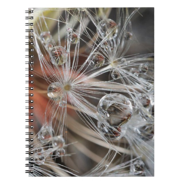 Caderno Espiral Abstrato de Dandelion (Frente)