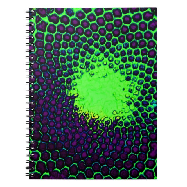 Caderno Espiral Abstrato Honeycomb Design verde e roxo (Frente)