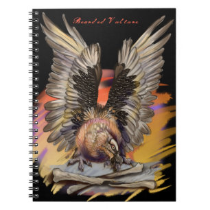 Caderno Espiral Abutre farpado