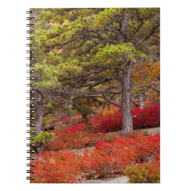 Caderno Espiral Acadia National Park, Maine (Frente)