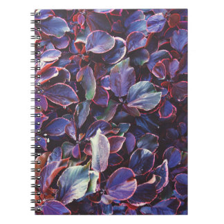 Caderno Espiral Acalypha Wilkesiana