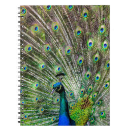 Caderno Espiral Acessórios de punho e penas impressionantes