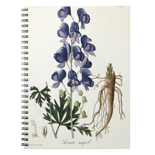 Caderno Espiral Aconitum Napellus de "Phytographie Medicale" perto (Frente)