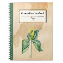 Acordar Desenhado Mão Robin Composição Personaliza