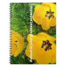 Acredite No Seu Maior Potencial.