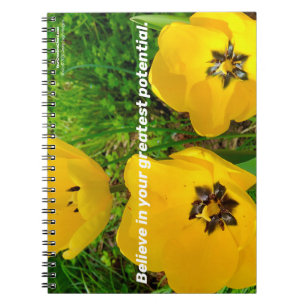 Caderno Espiral Acredite No Seu Maior Potencial.