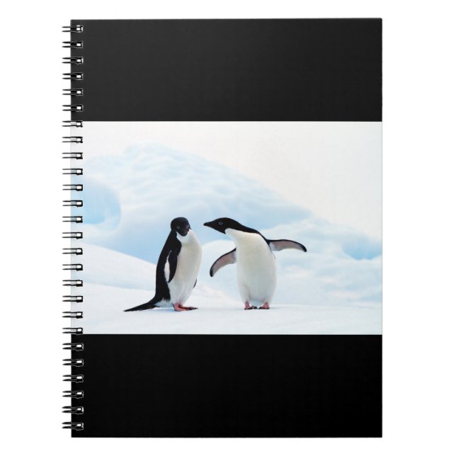 Caderno Espiral Adelie Penguins (Frente)
