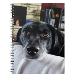 Caderno Espiral Adicione a foto do seu cão a este personalizado