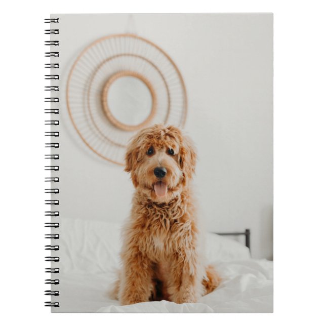 Caderno Espiral Adicione sua própria imagem de foto Logo DIY image (Frente)