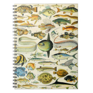 Caderno Espiral Adolphe Millot Fish A