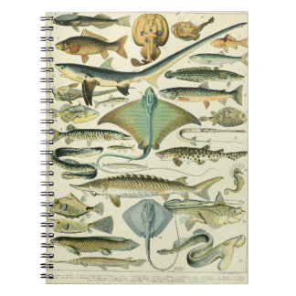 Caderno Espiral Adolphe Millot Fish Pattern-A