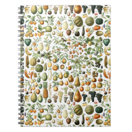 Caderno Espiral Adolphe Millot Fruit Pattern