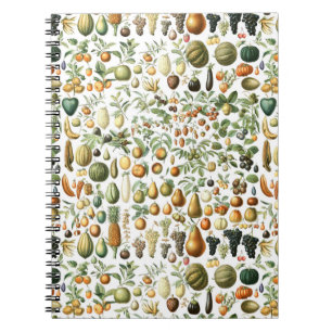Caderno Espiral Adolphe Millot Fruit Pattern
