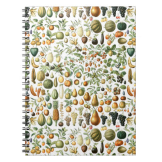 Caderno Espiral Adolphe Millot Fruit Pattern