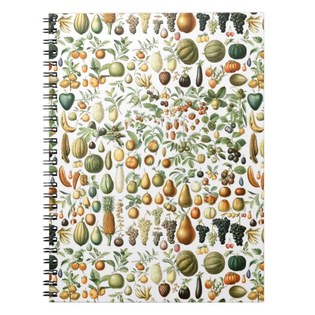 Caderno Espiral Adolphe Millot Fruit Pattern (Frente)